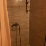 Camping Pszczela Oaza *