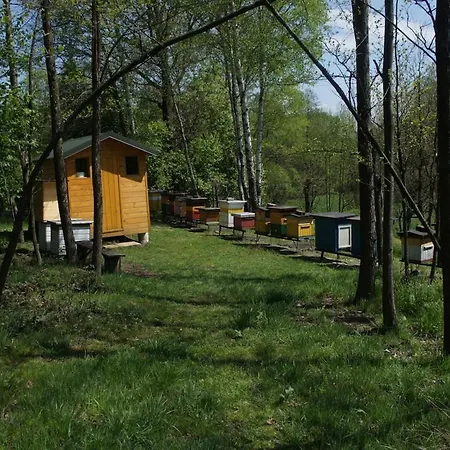 Pszczela Oaza Campingplatz