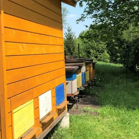 Pszczela Oaza Camping