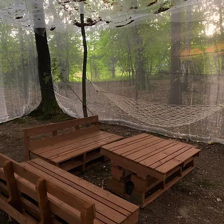 Pszczela Oaza * Bukowiec (Lower Silesia)