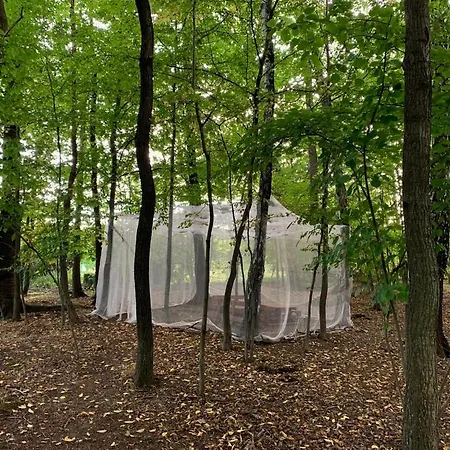 Pszczela Oaza Campingplatz Bukowiec (Lower Silesia)