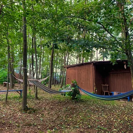 Campingplatz Pszczela Oaza Bukowiec (Lower Silesia)