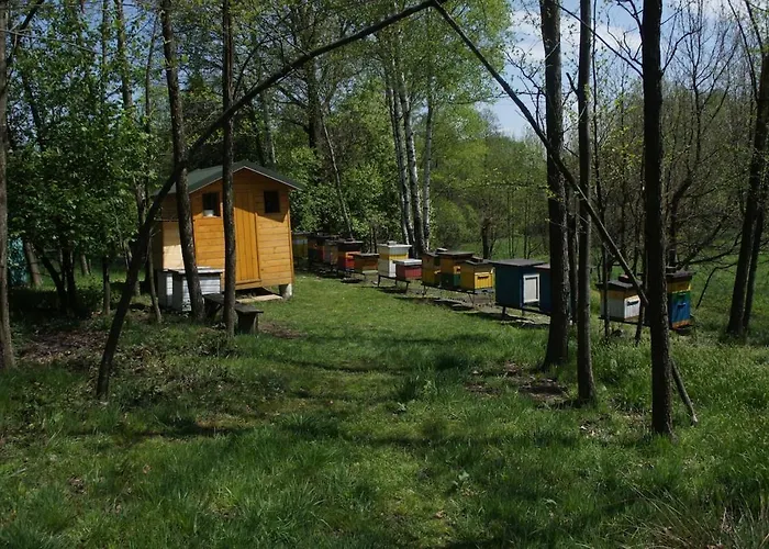 Pszczela Oaza Campingplatz