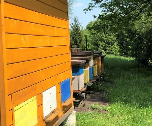 Pszczela Oaza Campingplatz