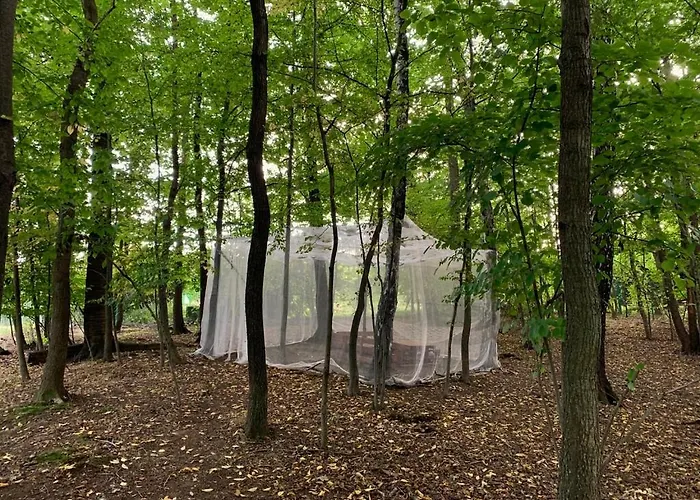 Pszczela Oaza Campingplatz Bukowiec (Lower Silesia)