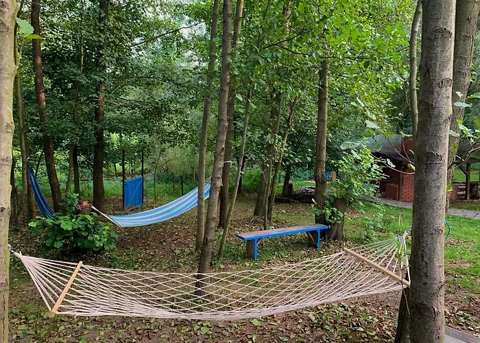 Pszczela Oaza Bukowiec (Lower Silesia)